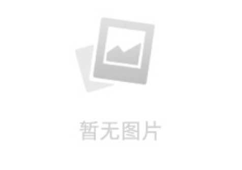 2015中国（贵州）“制博会”大幕开启
